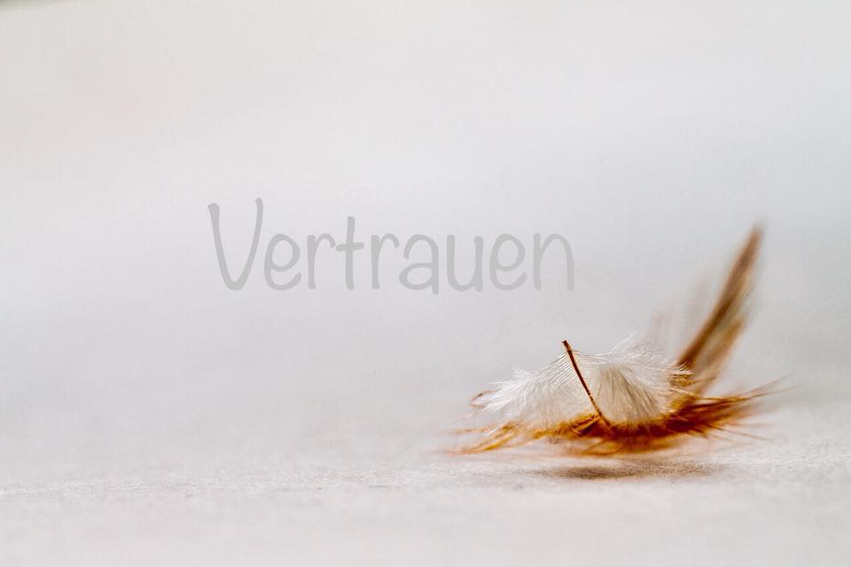 Dagmar Welz: „Sich selbst vertrauen …“