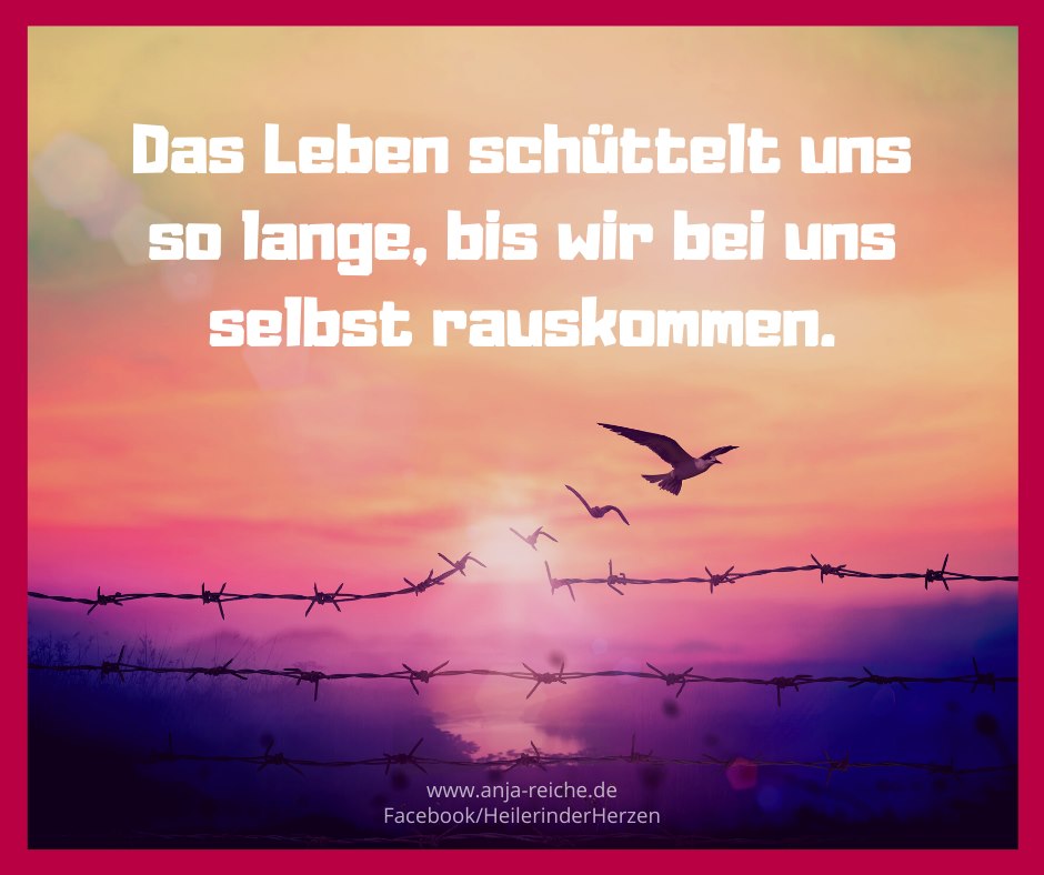 Anja Reiche: „Das Leben schüttelt uns so lange, bis wir bei uns selbst rauskommen!“, 29/10/19