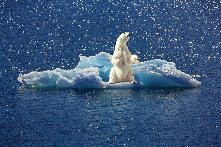 Italiens Schüler lernen im Schulfach über Klimawandel und nachhaltige Entwicklung