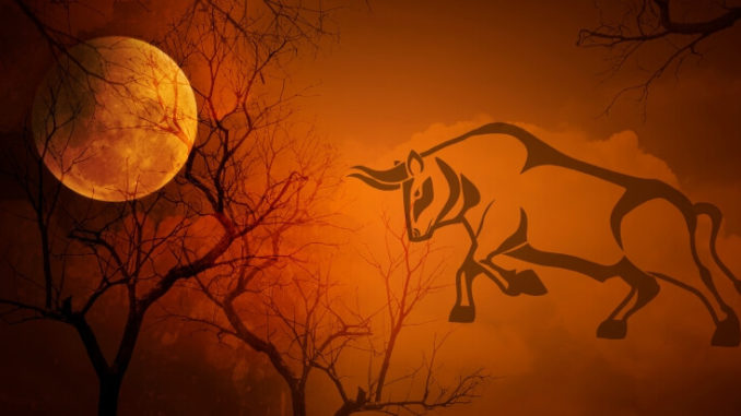 Vollmond-Stier-12-November-2019