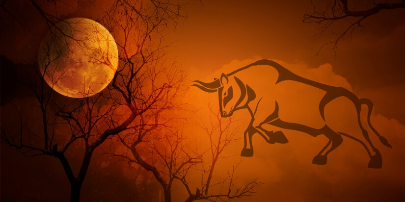 Alexandra Szeli, Vollmond im Stier am 12. November 2019