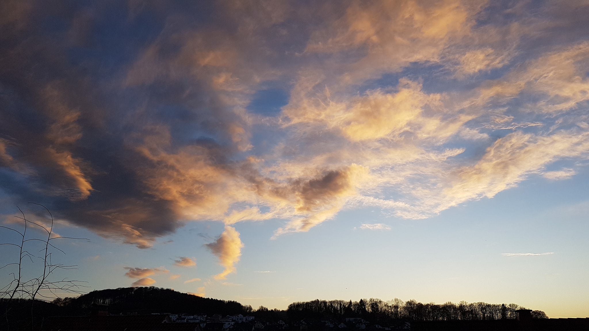 Elisabeth Westhoff: „Eine wahrlich bunte Mischung an Energien und …“