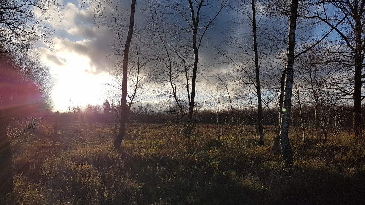 Elisabeth Westhoff: „Es arbeitet und wirbelt ordentlich in uns!“