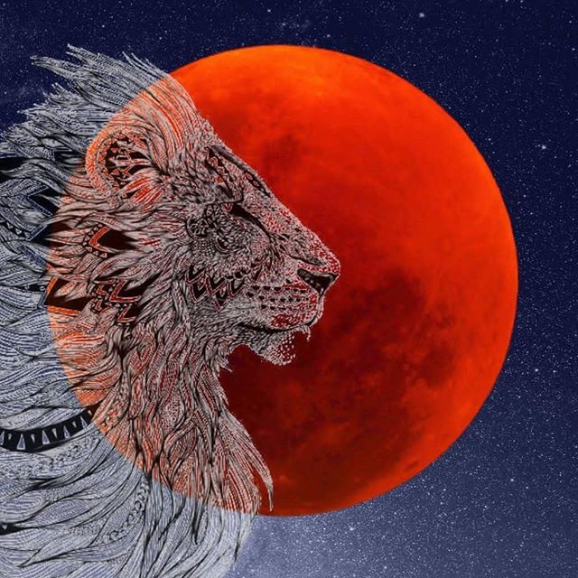 Celia Fenn, „Vollmond im Löwen“