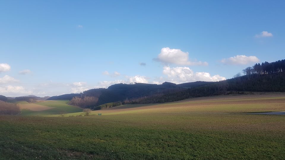 Elisabeth Westhoff,“Eine intensive Aufwachwelle erreicht uns seit ein paar Stunden“, 18.03.2020, 19:00 Uhr