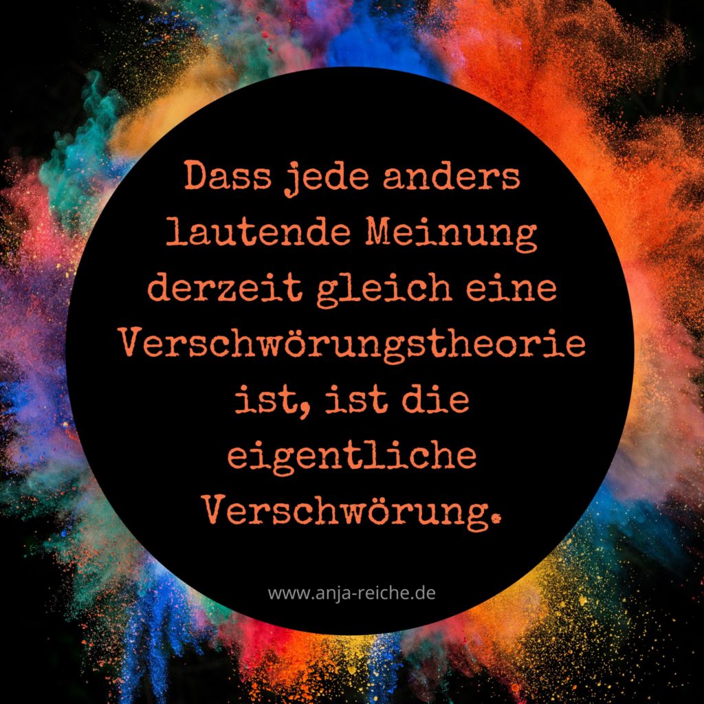 Anja Reiche über V.rs..wör..gstheorien aus Sicht der MSM