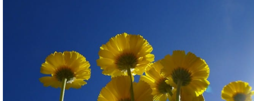 Ann Albers, Eine Welt in der Wiedergeburt .. oder … sei sanft zu dir selbst