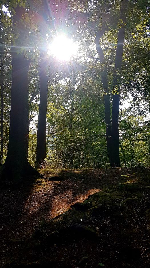 Elisabeth Westhoff, Deine Natur