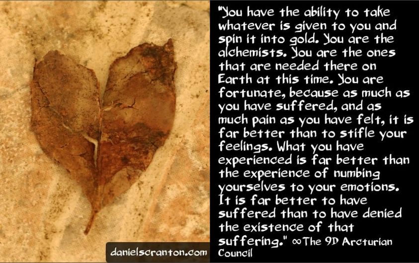 „Ihr seid die Alchemisten“ ∞ Daniel Scranton