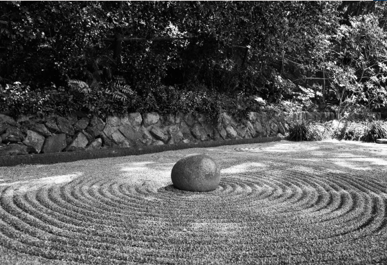 „Du kannst“, 20.08.2020, Jennifer Farley