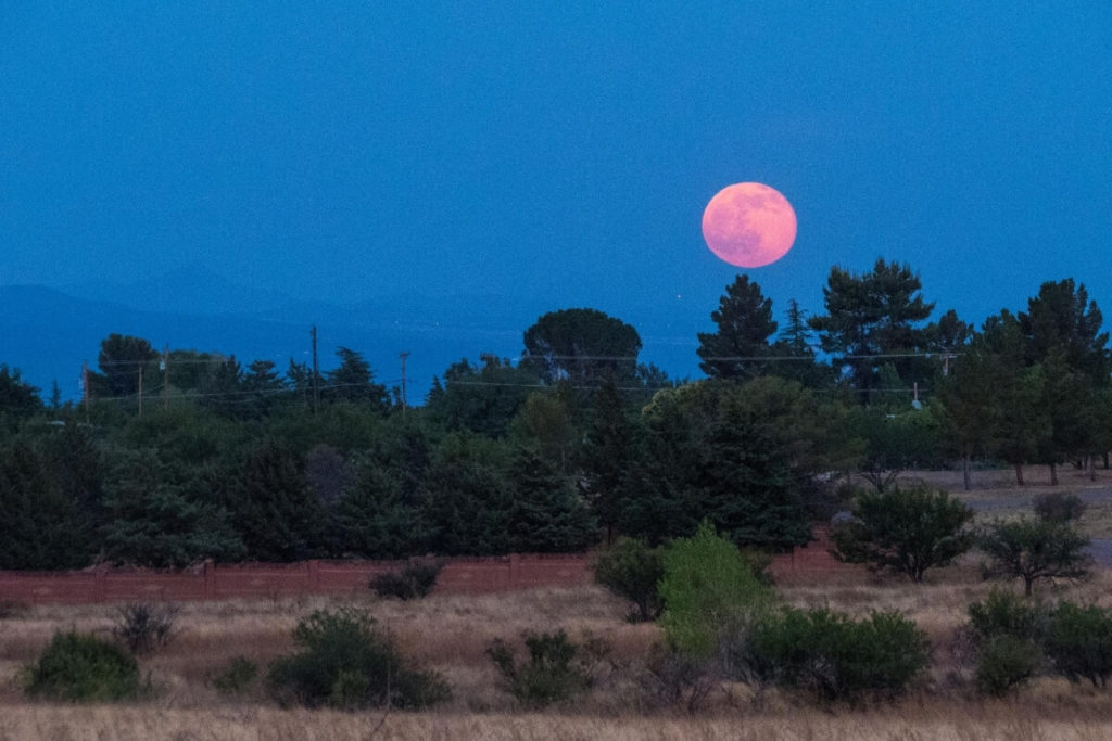August – Vollmond im Wassermann: 03.08.2020, Taste of Power