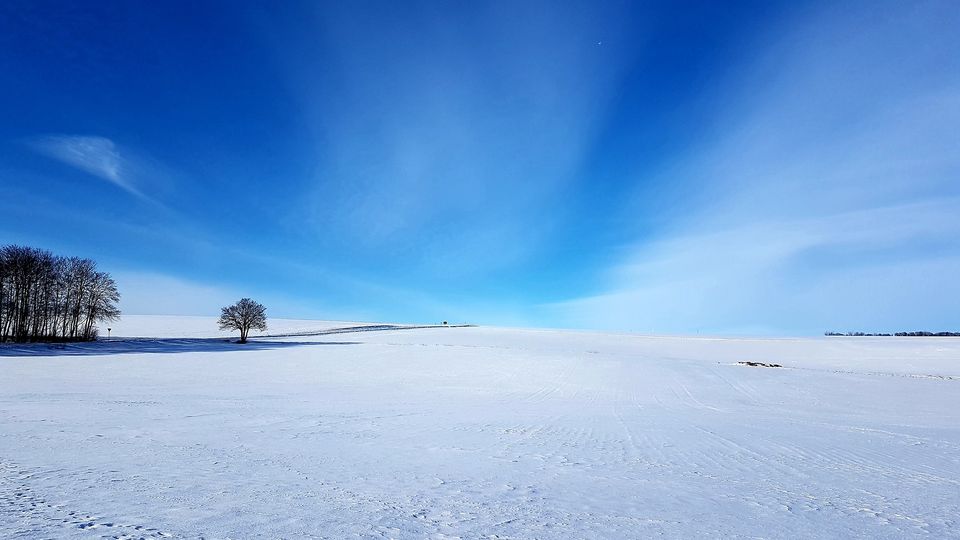 Elisabeth Westhoff, Das Alte bricht völlig in sich zusammen
