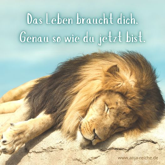 Anja Reiche, Es brutzelt mal wieder (un)ordentlich im Universum