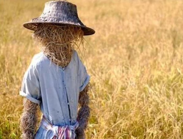 Geschützt: Nesara und Gesara verstehen