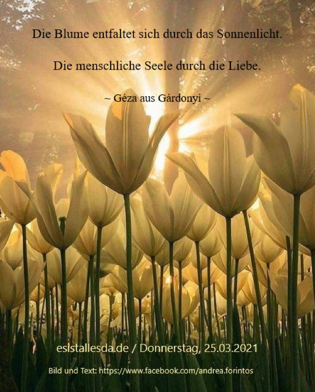 Es Ist Alles Da .... Der 25. März - Mariä Verkündigung ist das merkwürdigste Datum der ganzen Weltgeschichte, er ist das Datum der Menschwerdung Gottes und der Mutterschaft Mariä. Dieses Datum bezeichnet den Zeitpunkt, wo alle Verheißungen Gottes, alle Wünsche der Patriarchen, alle Vorhersagungen der Propheten, alle Hoffnungen von vierzig Jahrhunderten in höchster Vollkommenheit sich erfüllt haben; dieses Datum bezeichnet die Vollendung und Krönung der Schöpfung und den Beginn der neuen Zeit.