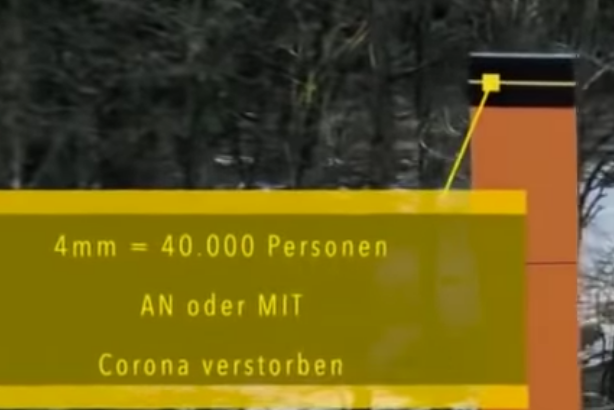 Die Zahlen der „Pandemie“ veranschaulicht (!!!!!!!)