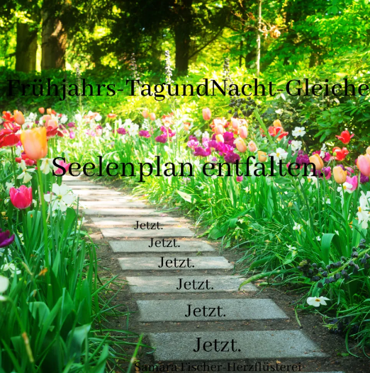 Herzflüsterei  ✨Wochenendflüstern ✨