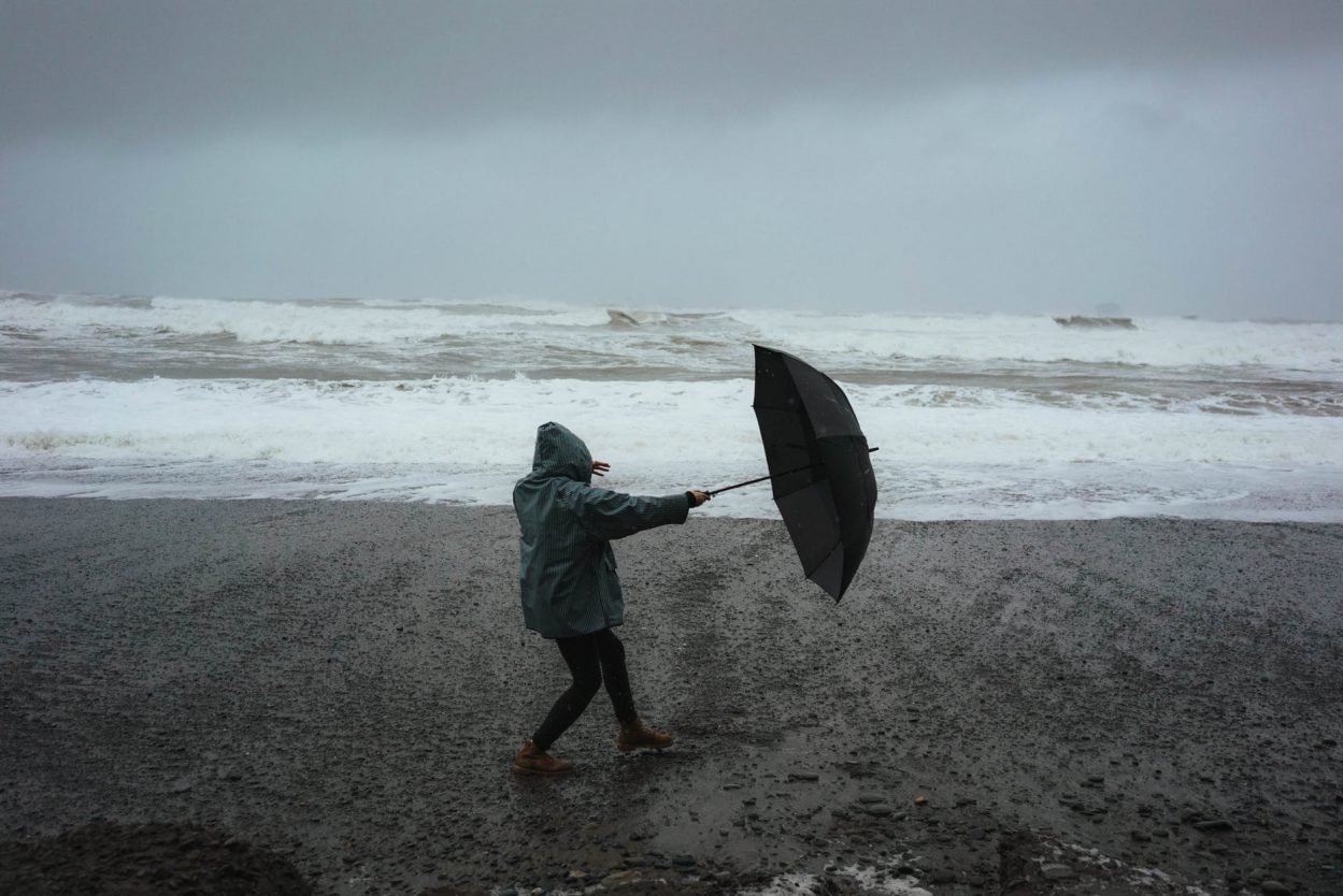 Der Wind der Veränderung, Monika Hagn