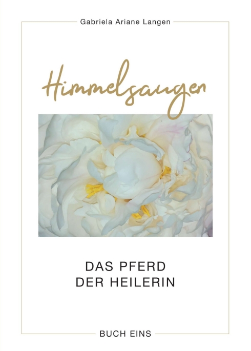 Gabriela Langen, Mein erstes Buch: „Himmelsaugen – das Pferd der Heilerin“