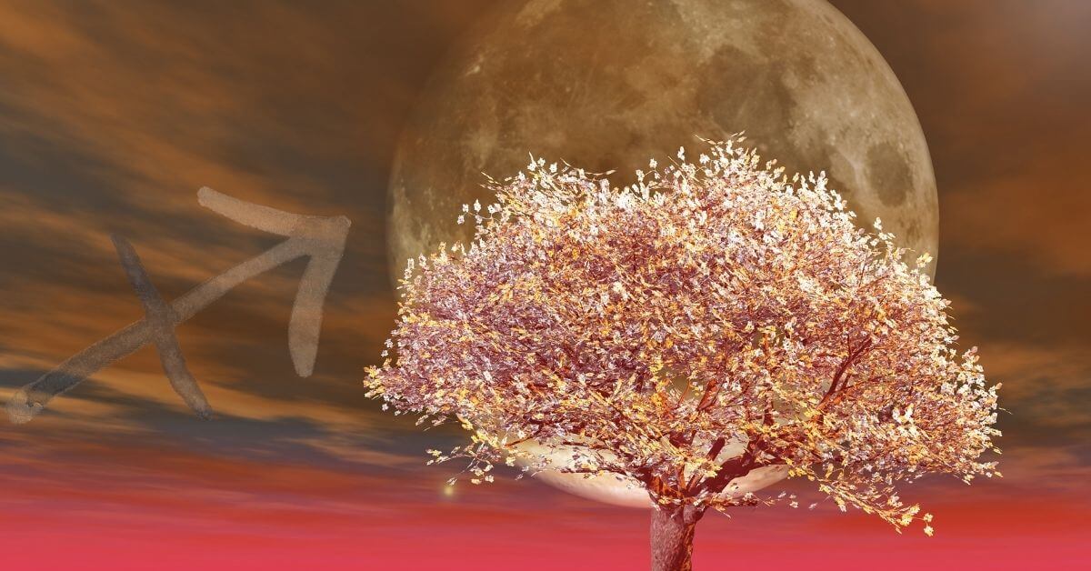 26.05.2021 – Supermond im Mai – Der größte Vollmond des Jahres, Taste of Power