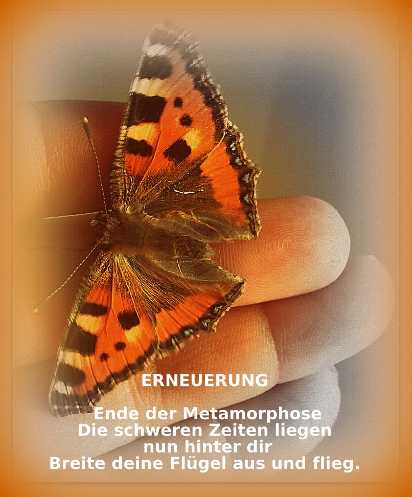 Ein besonderer Tag mit „besonderen“ Energien, Monika Hagn