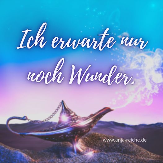 Ich erwarte nur noch Wunder, Anja Reiche