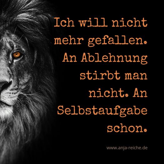 Anja Reiche, Ablehnung oder Anpassung