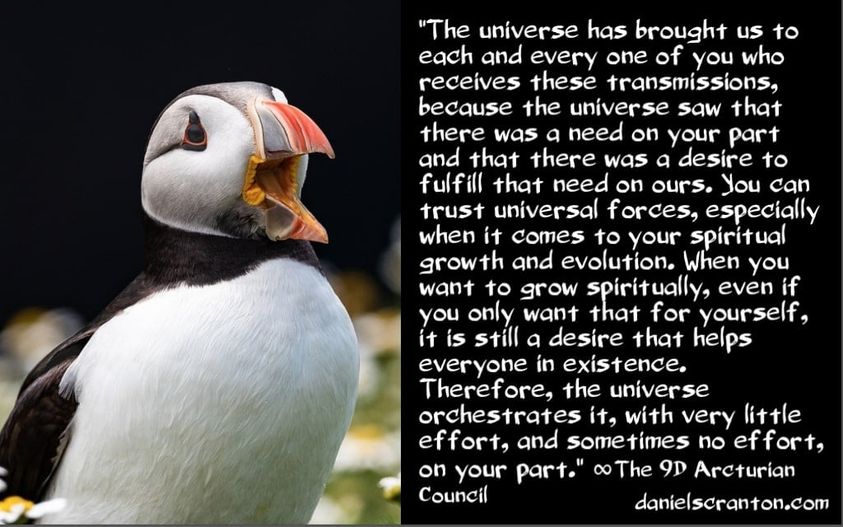 „Die machtvollen Kräfte in diesem Universum“, Daniel Scranton
