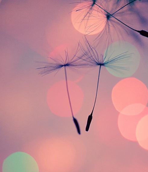 „vertrauend“, Jennifer Farley