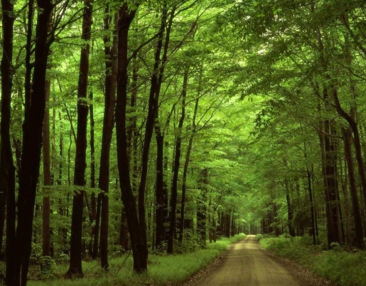 „Der Weg hindurch“, Jennifer Farley
