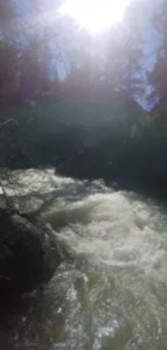 Nachricht vom Fluss, Jenny Schiltz