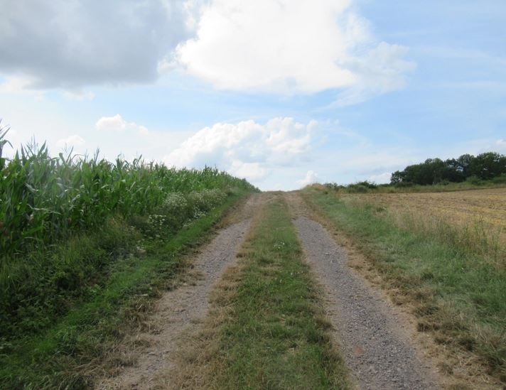Neue Pfade, Heike Kühnemund