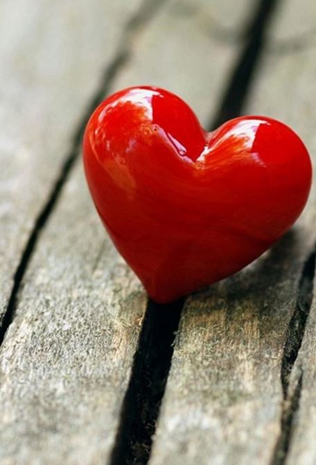 „Liebe und liebe weiter“, Jennifer Farley
