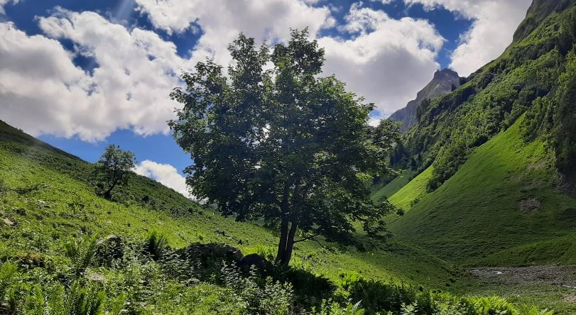 Motivationsgeschichten, Ein kleiner Funken der Liebe