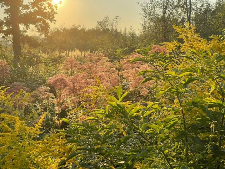 Adelheid Brunner: Lilithkraft … Aufbruch … es bricht auf