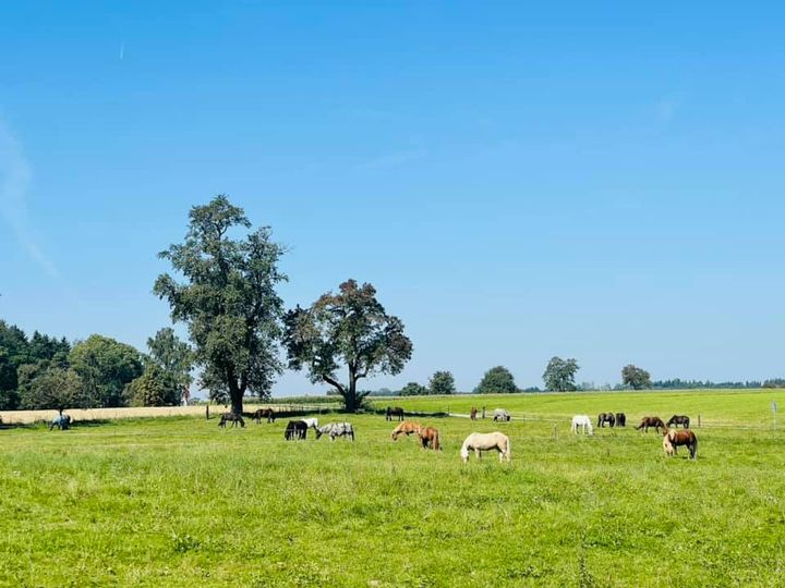 Adelheid Brunner: Alte Energien loslassen