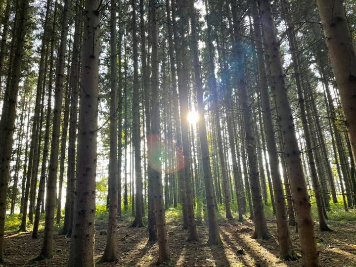 Geh‘ deinen Weg – STEH zu DIR! Adelheid Brunner