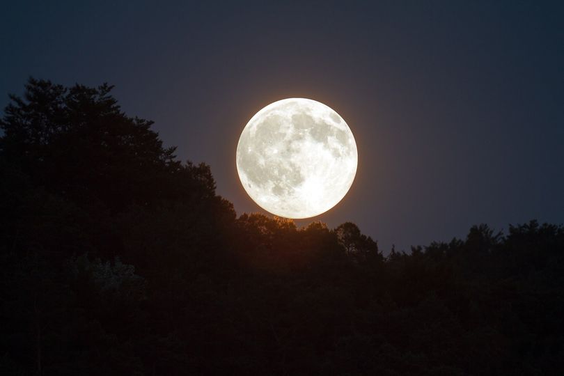 Dieser Vollmond wird ver.rückend sein, divinefeminine7777