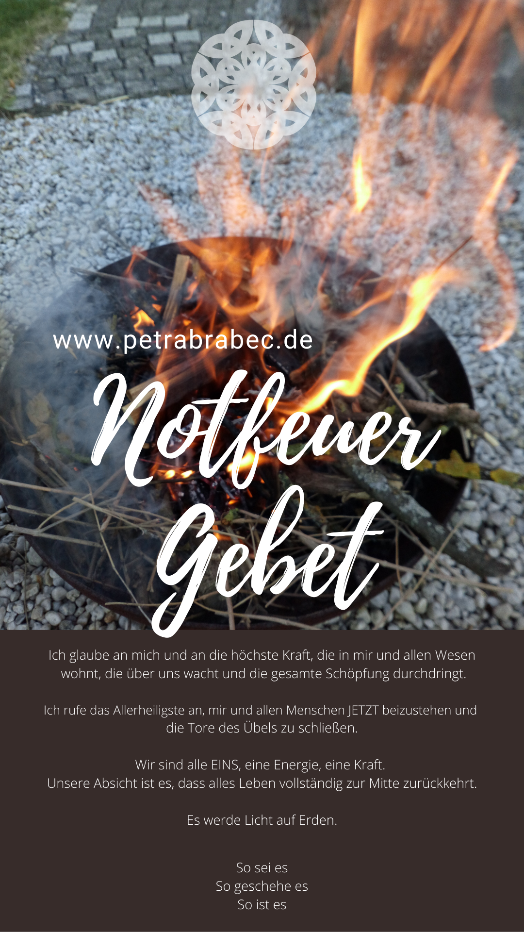 In der gesamten Geschichte der Menschheit gab es noch nie eine politische Elite, die sich um das Wohlergehen der Menschen sorgte I EU Abgeordneten Interfraktionäre Pressekonferenz (Netzfund)