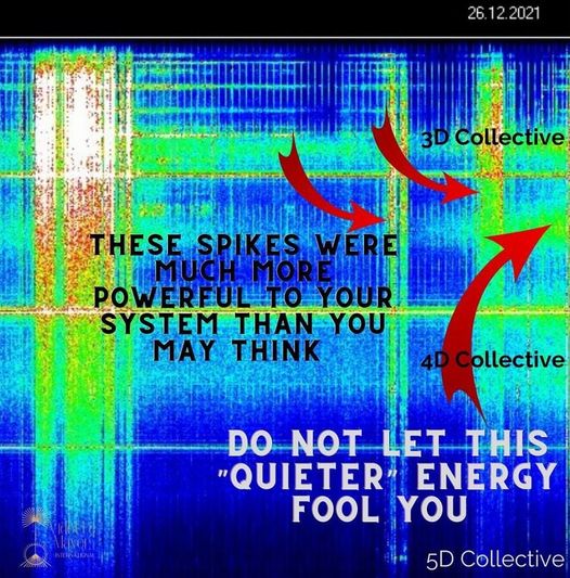 Die letzten Stunden waren energetisch sehr intensiv. Vidette Mayer