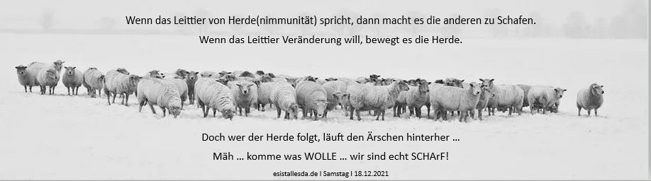 Stehst du schon (für dich ein) oder liegst du noch auf dem Sofa rum … Ja, was jetzt …