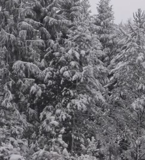 When the snow falls wunderbar. ‚Was fürs Gemüt …