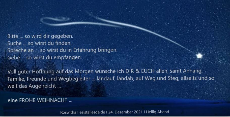 DANKE GRAZ: 24.12.21: Stille Nacht, heilige Nacht – gesungen in Graz am 23.12. – FÜR uns ALLE 🎄❤️🌟💫🎄Gottes Segen für alle Menschen, die guten Willens und reinen Herzens sind!