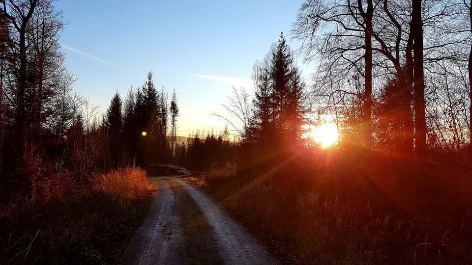 Elisabeth Westhoff: Durch DEINE Kraft