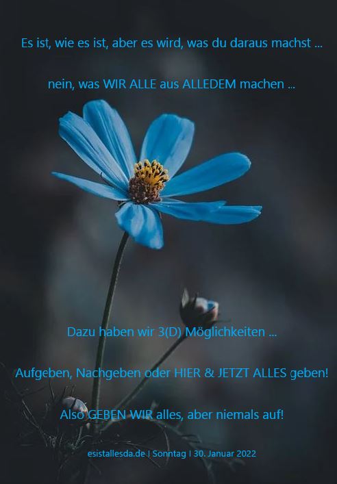 Es Ist Alles Da ... Fröhlichen SONN-Ruhe-Tag!