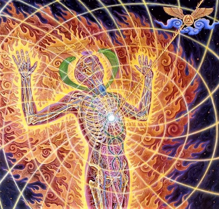 Carta Astral 222