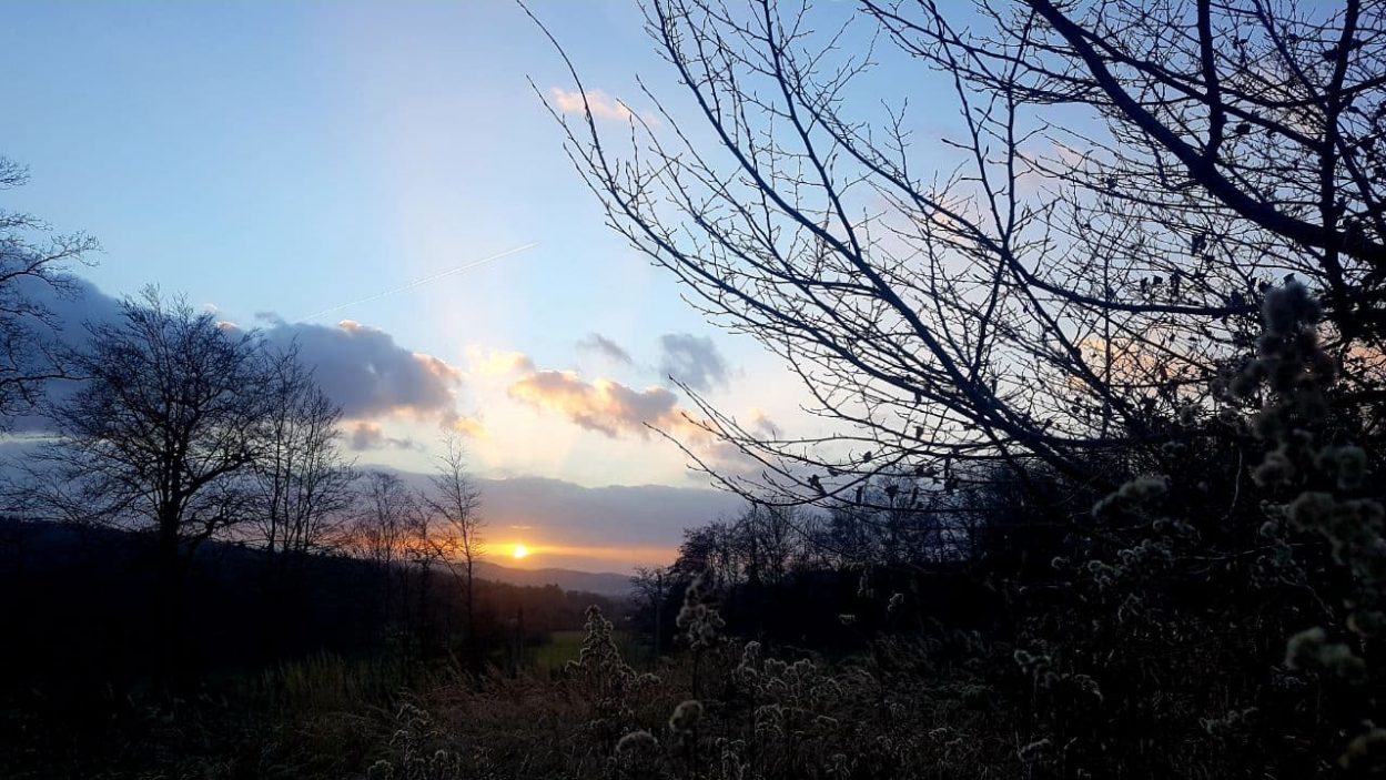 Elisabeth Westhoff: Wandlungsenergien
