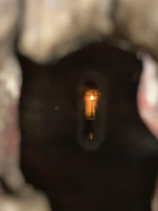 Amanda Lorence: Das Bild fasst jede Lebensreise auf dieser kollektiven Zeitschiene zusammen