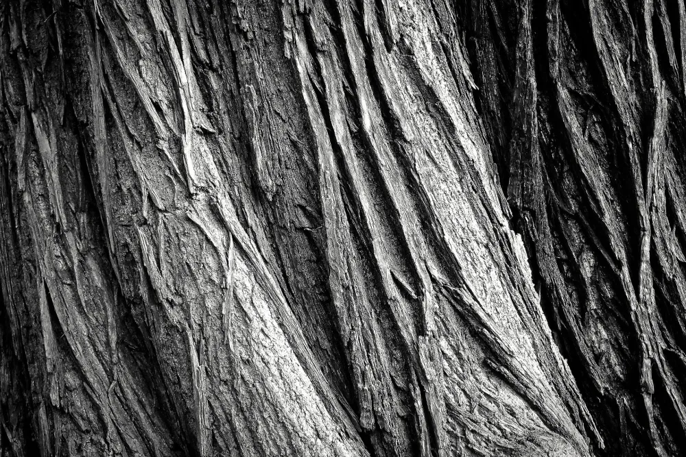 Botschaften des Lichts ~ Eine tiefe Wunde braucht Zeit zum heilen……  ~ 03.02.22 ~ Channeling~ Stina Gova