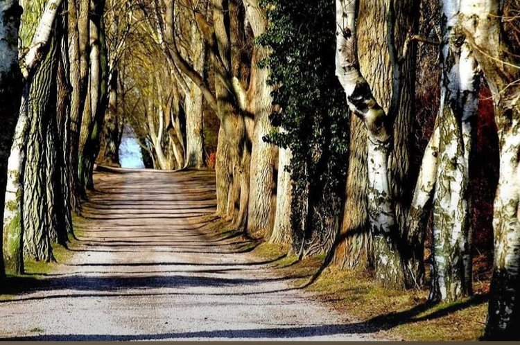 Margit Kaufmann: Setzen wir auf die nächste Karte…Hilfestellung für das Geplänkel im Körper